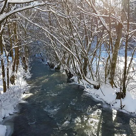 Fewo Talula - Sauerland Mit Hund Medebach Exterior photo