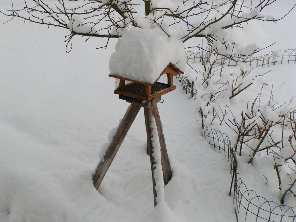 Talula - Sauerland Mit Hund Apartment
