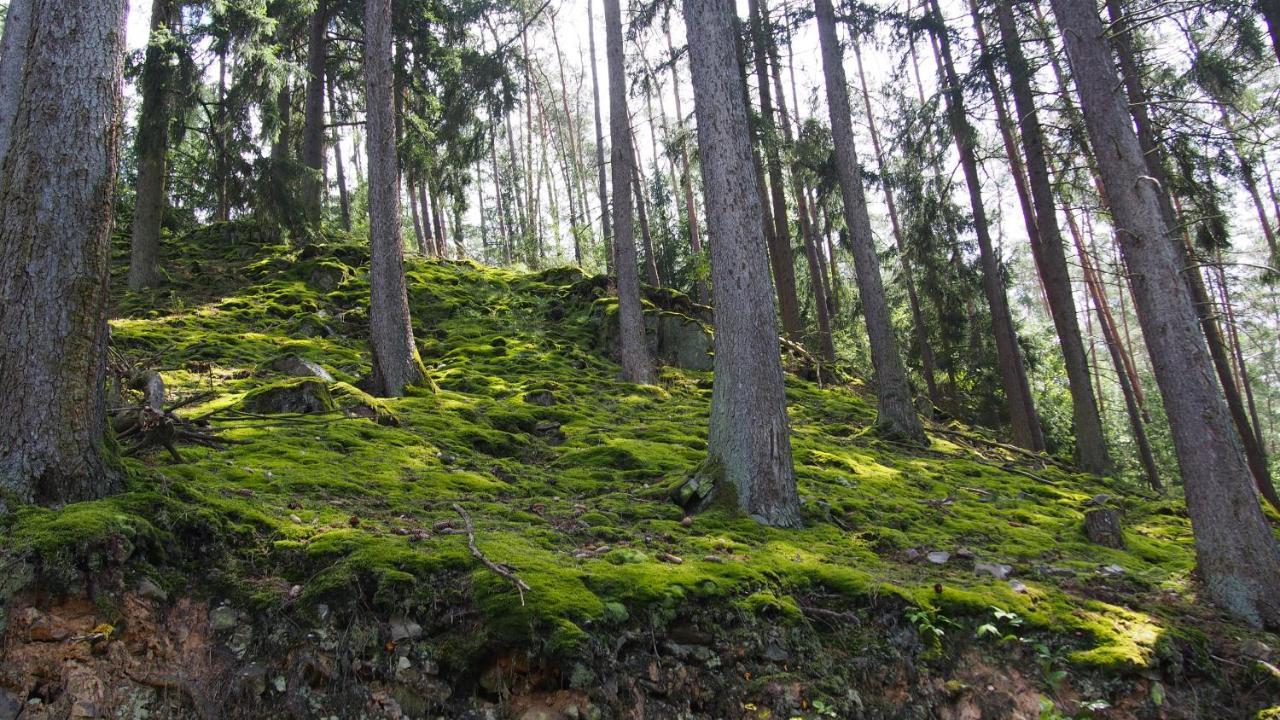Talula - Sauerland Mit Hund * Medebach