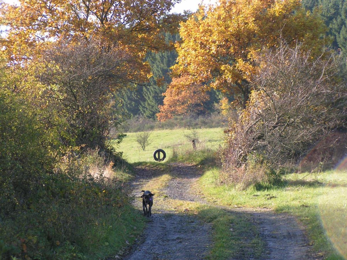 Talula - Sauerland Mit Hund Apartment Medebach